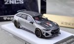 Top Models Audi RS666 2NCS Silver Online now