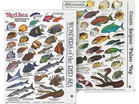 Seahawk Press Mini Pocket Guides Fish ID Cards Fit easily in BCD Pocket Online Sale