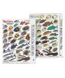 Seahawk Press Mini Pocket Guides Fish ID Cards Fit easily in BCD Pocket Online Sale